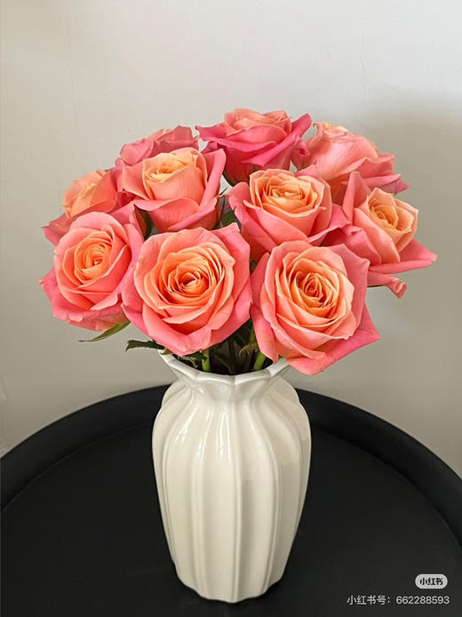 预售8号到货 朱小姐一扎10支，支长 商品图0