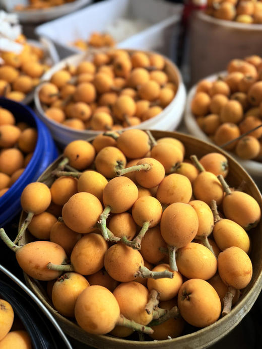 高山枇杷  皮薄肉厚 汁水爆棚 清甜不腻 甜中带微酸 商品图6