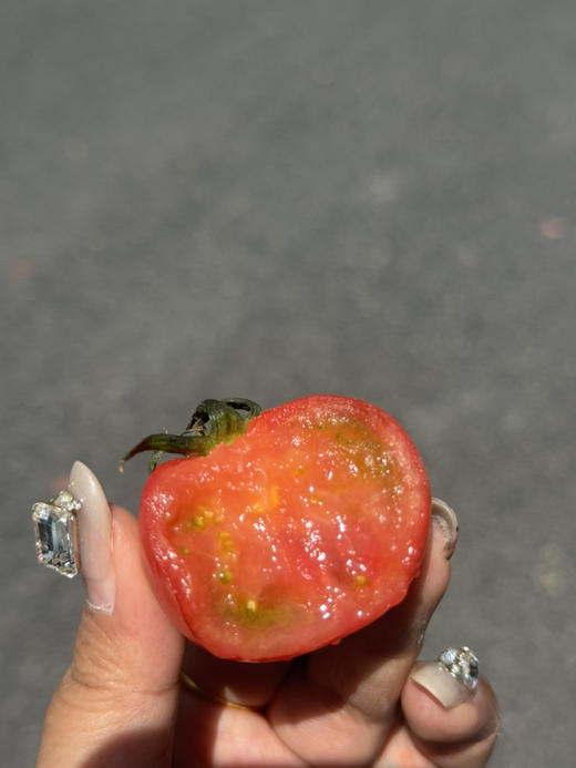 嘉红100红番茄2斤装 商品图2