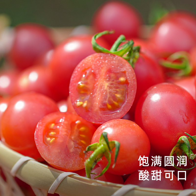 饱记广东茂名蜜脆小番茄浓郁饱满圆润酸甜爆汁