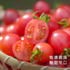 饱记广东茂名蜜脆小番茄浓郁饱满圆润酸甜爆汁 商品缩略图0