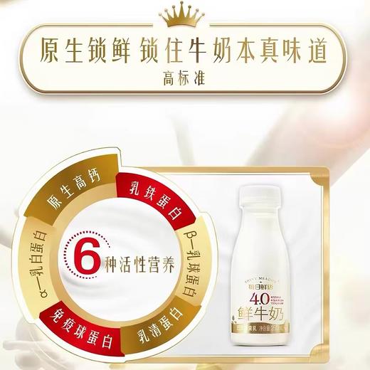 蒙牛每日鲜语4.0特醇鲜牛奶250ml 商品图1