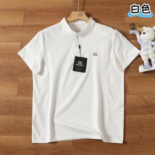 F040743户外男生休闲百搭速干吸湿运动半拉链POLO衫 商品图6