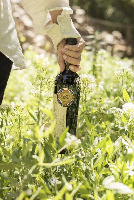 “春之觉醒” 赛妮娅巅峰品鉴晚宴·北京·杭州·江山 商品图0