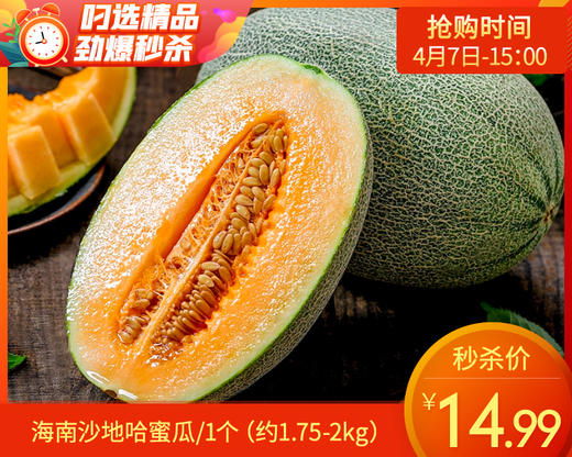 海南沙地哈蜜瓜/1个（约1.75-2kg） 商品图0
