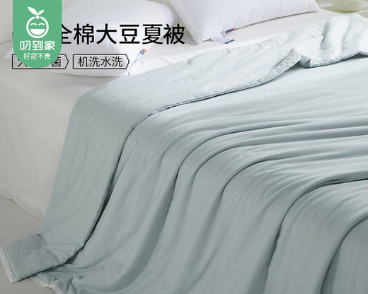 【预售-4月13日配送】佳丽斯60支全棉大豆夏被（蔚蓝）/1件（200*225cm，填充物重约460g，总重约1.5kg） 商品图1
