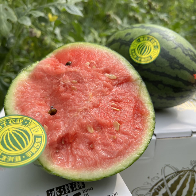 石家庄优选仓库速达，山东冰激凌手撕小西瓜，可以徒手剥皮，皮薄且脆，吊瓜种植，净重5.2斤左右/2枚礼盒装