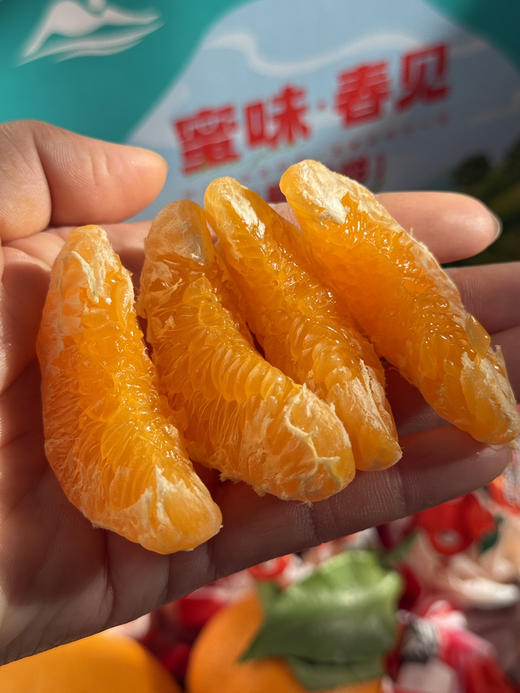 山地蜜味·耙耙柑 商品图4