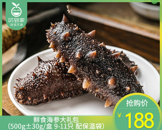 鲜食海参大礼包（500g±30g/盒 9-11只 配保温袋）生产日期: 2月 商品图0