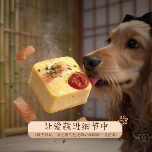 尾巴先生自制狗粮饭湿粮泰迪金毛柯基狗狗零食拌饭三文鱼鲜食营养 商品图2