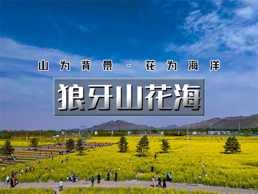 【狼牙山花海1日】｜万亩花海の狼牙山田园花海-太行水镇 商品图0