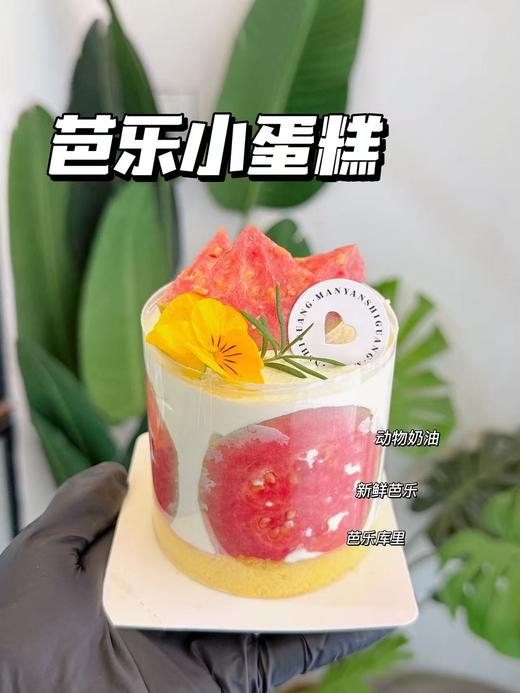 芭乐小蛋糕 商品图0