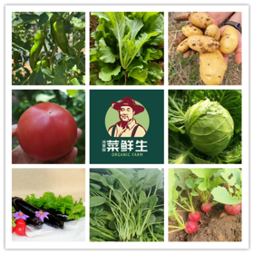 【4.6折优惠大酬宾】鸿翠园 有机蔬菜套餐