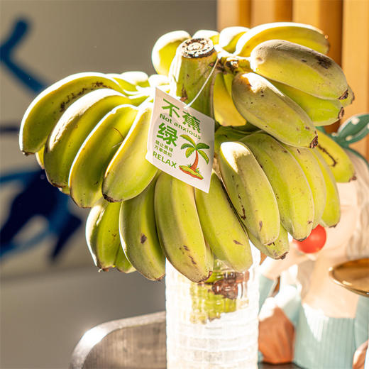 宝，【禁止蕉绿·‍水培苹果蕉】用魔法打败魔法！⁮用“‪蕉绿”⁪打败焦虑！ 商品图4