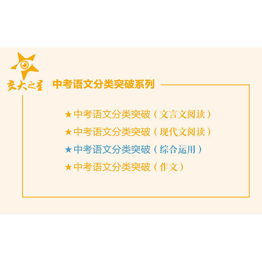 中考语文分类突破（综合运用） 商品图1