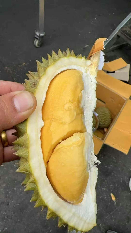 托曼尼榴莲 商品图4