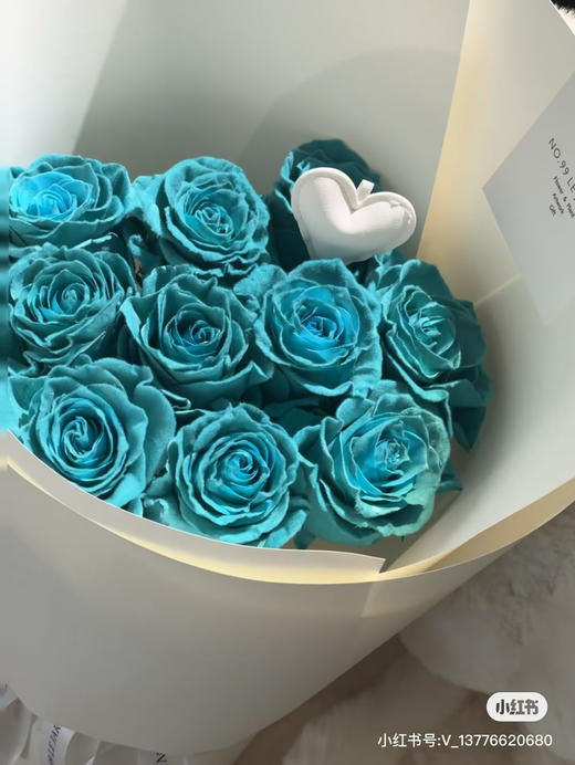 厄瓜多尔-【Velvet Turquoise】绿松石毛绒 商品图0