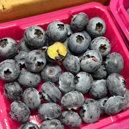 【2026 雪山恬蓝莓 中果】云南核心产区种植，颗粒饱满、新鲜可见，脆甜味浓，蓝莓风味足，入口满是花青素！净含量125克/盒，江浙沪皖顺丰包邮~ 商品图2