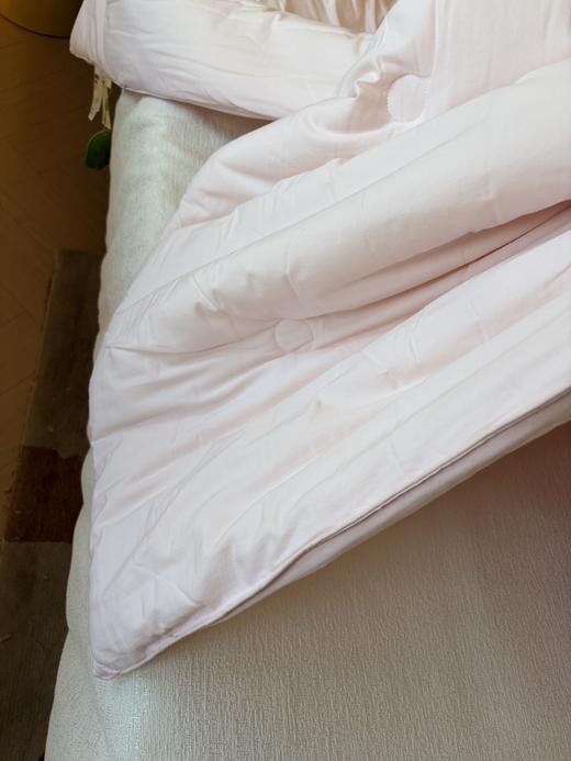 直发 专卖店撤柜尾单 【5斤重】 全棉春秋大豆被 商品图5