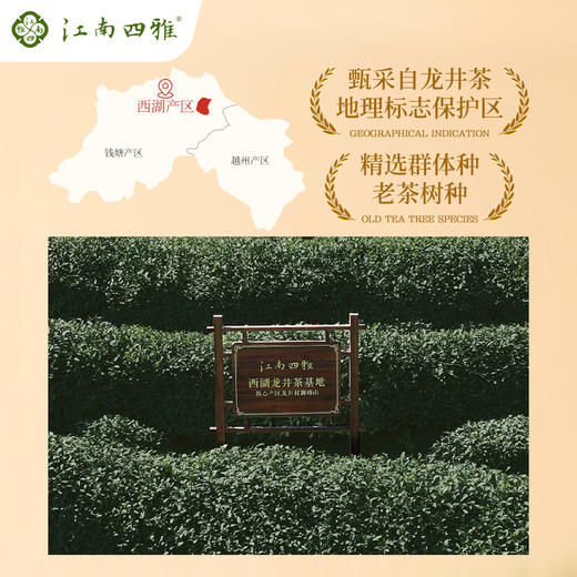 2026杭州西湖龙井 商品图5