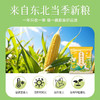 【2斤】香糯玉米碴 250g/袋*4袋 商品缩略图2