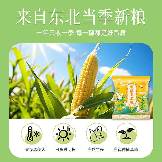 【2斤】香糯玉米碴 250g/袋*4袋 商品图2