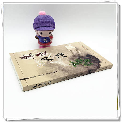 熏灸疗法 周美启 吴生兵 孙灿光 主编 中国中医药出版社 商品图2