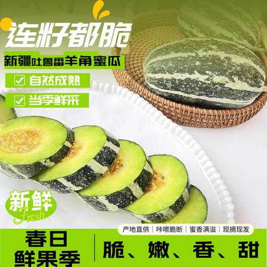 新疆羊角蜜博洋蜜瓜 5-5.5斤/箱 闻着香 咬着脆 吃着甜 商品图0