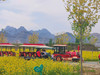 【狼牙山花海1日】｜万亩花海の狼牙山田园花海-太行水镇 商品缩略图5