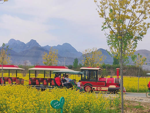 【狼牙山花海1日】｜万亩花海の狼牙山田园花海-太行水镇 商品图5
