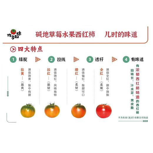 【自营】“许多好柿” 正宗碱地草莓西红柿 精选一级果5斤精品礼盒装 商品图4