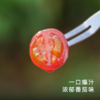 饱记广东茂名蜜脆小番茄浓郁饱满圆润酸甜爆汁 商品缩略图1