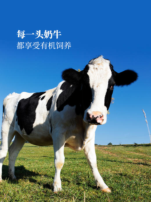 悦鲜活有机4.0鲜牛奶8x260mL  山姆会员店商品非商品原因不支持退款 商品图3