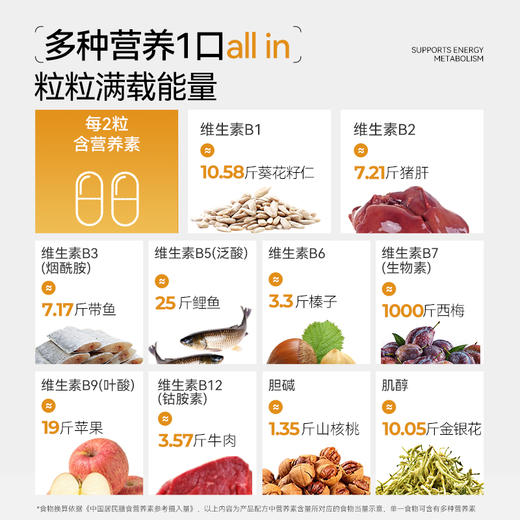 OXYENERGY/氧气能量金标维生素B高含量10种B族 商品图4