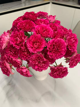 A级天使罗拉5扎