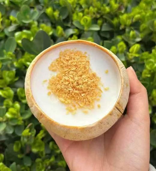 周六取货：【椰子冻】椰香浓郁Q弹爽滑。 商品图1