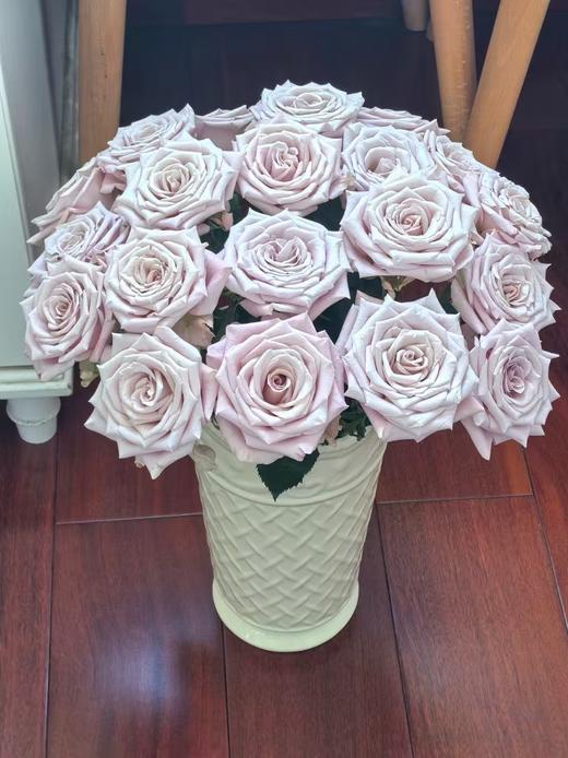 灰色单头玫瑰20枝 商品图0