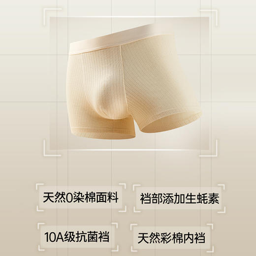 樱姿娜--蚝润·彩棉裤， 【款号】WL86021，3条礼盒装，到手仅需39.9元 商品图5