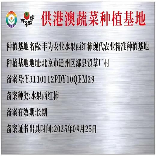 【自营】“许多好柿” 正宗碱地草莓西红柿 精选一级果5斤精品礼盒装 商品图5
