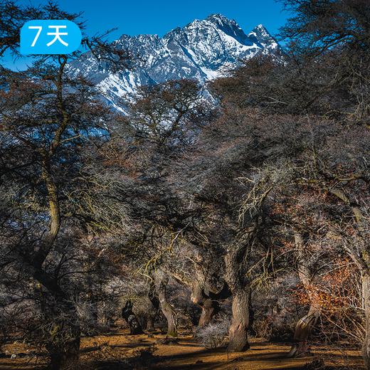 萨普神山 | 全新2.0 藏东经典小众路线 28公里高原轻徒步 7日 商品图12
