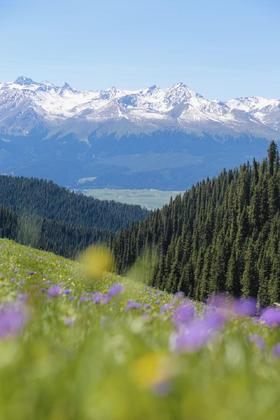 川西首创美式公路定制