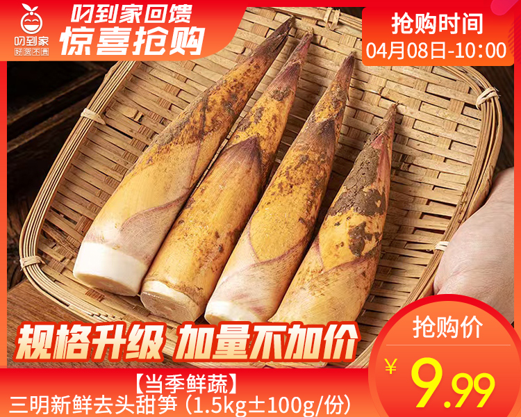 【当季鲜蔬】三明新鲜去头甜笋（1.5kg±100g/份）