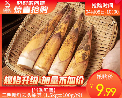 【当季鲜蔬】三明新鲜去头甜笋（1.5kg±100g/份） 商品图0