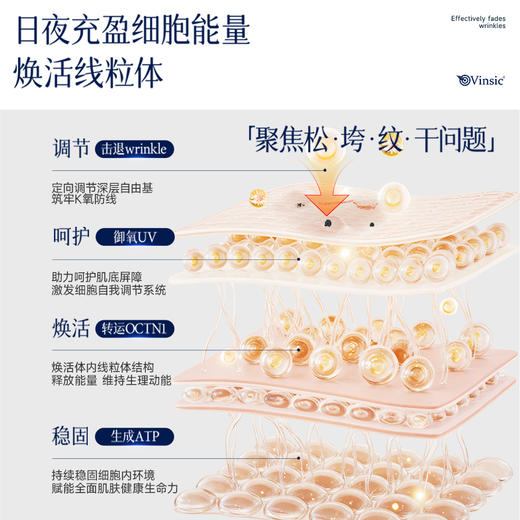 Vinsic麦角硫因 商品图2
