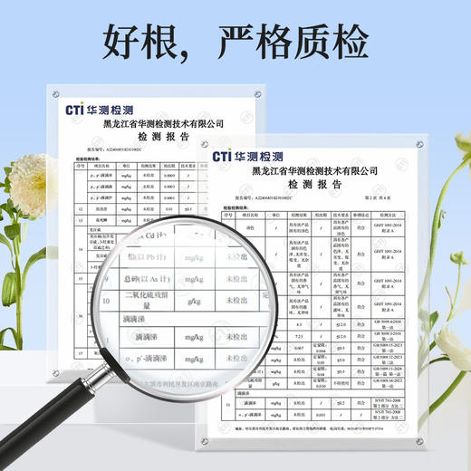 ⁴【发2罐】大兴安岭蒲公英根 可冲泡，可煮茶 215g/罐YC04-CR-YKSC【白桦树采汁】 商品图2