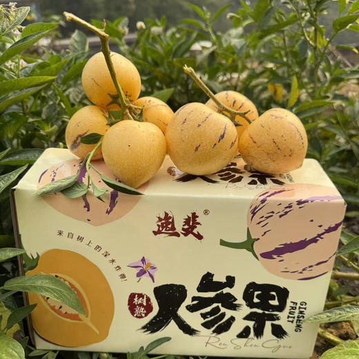 海南产地直发树熟人参果中果（一箱净重3斤20个左右） 商品图1