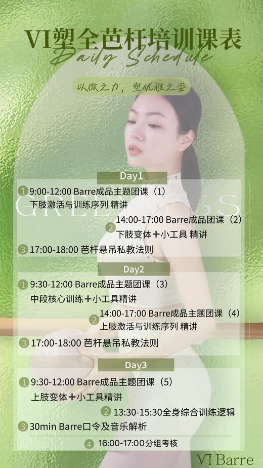 VI塑全芭杆，定金&尾款支付链接 商品图2