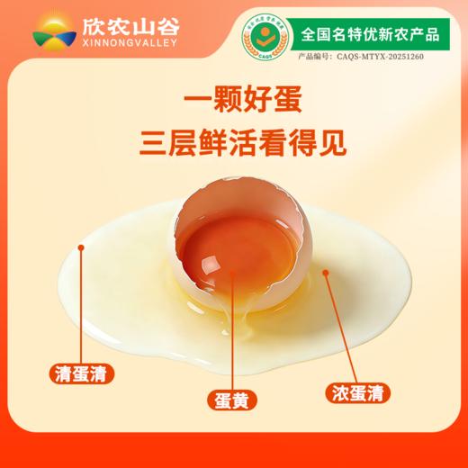 【色美味鲜】欣农山谷 土鸡蛋 30枚（1100g） 蛋黄饱满橙艳 商品图1