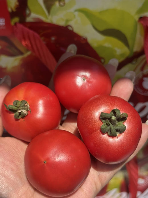 嘉红100红番茄2斤装 商品图1