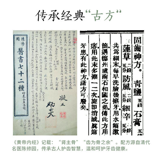 新升级修园固齿牙膏 传承陈修园古方 多重成分呵护口腔 120g/支 商品图2